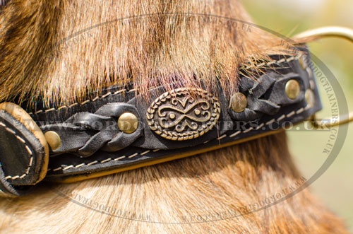 buy handmade dog collar for Belgian Malinois UK